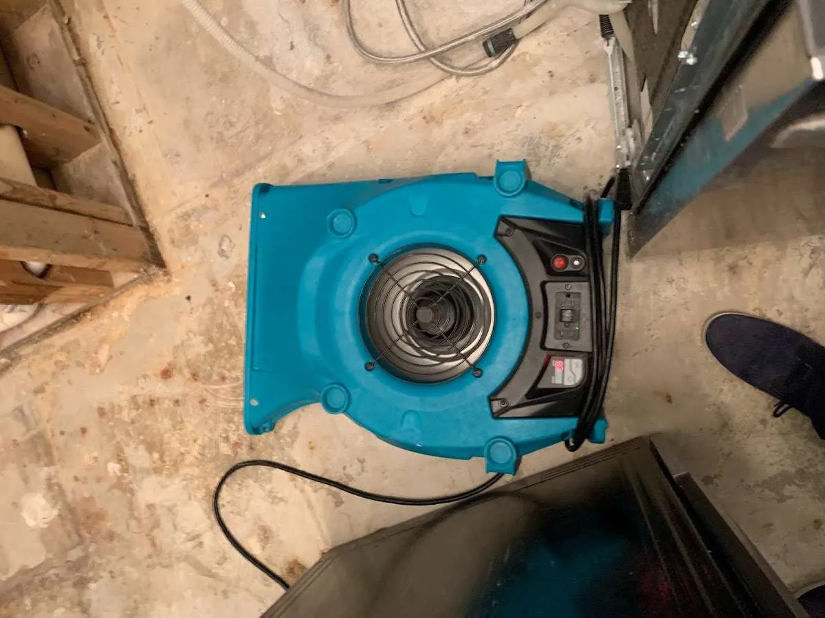 Air mover drying equipment for Mold Remediation & Removal in Brighton