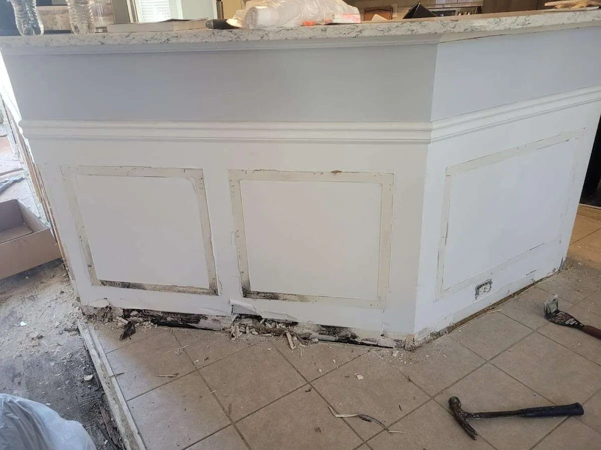 Water damage and mold on kitchen during Sewage Cleanup & Sanitation in Brighton